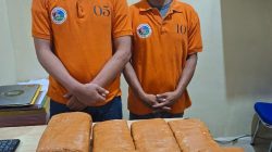 Sat Narkoba Polres Pelabuhan Belawan Gagalkan Peredaran 13 Kg Ganja, 2 Bandar Ditangkap